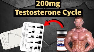 200mg Testosterone Cycle  Best Steroid Cycle  Muscle Gains  Side Effects  Doctors Analysis [upl. by Nanny]