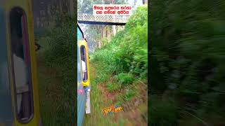 ගතට වගේම සිතටත් සීතල ගමනක්  Mind and Body Relaxing Tour in Sri Lanka Upcountry train relaxing [upl. by Ahserak]