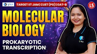 Prokaryotic Transcription for IIT JAM Biotechnology  GAT B  CUET PG 2025  Molecular Biology  L5 [upl. by Hanahs]