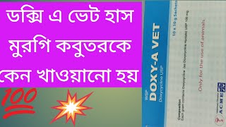 Doxy A vet হাস মুরগি কবুতরকে কেন খাওয়ানো হয় [upl. by Benjy]