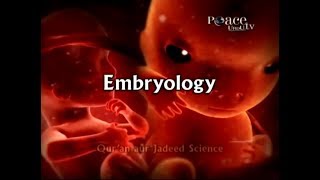 Embryology in Quran By Dr Zakir Nayak [upl. by Tiloine997]