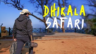 Dhikala Safari Jim Corbett  4K Video Hindi  हिन्दी [upl. by Oniratac821]