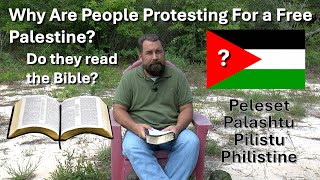 Why Are People Protesting For a Free Palestine [upl. by Gillespie]