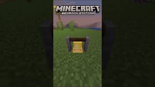 Minecraft Java vs Bedrock shorts minecraft minecraftmemes [upl. by Priscella]