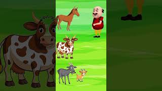 cartoon tuntunicartoon funny animatedcartoon comedy 2024shorts [upl. by Llyrad]