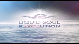 Liquid Soul  Revolution [upl. by Bonita455]