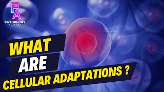 What Are Cellular Adaptations By Dr Aditi Kumar MD Pathology [upl. by Oiligriv]