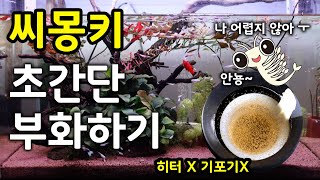 초간단 씨몽키 대량 부화기 브라인쉬림프or알테미아  Brine Shrimp IncubatorArtemia [upl. by Nurav]