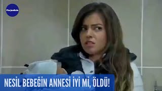 Şefkat Tepe  Nasıl Bebeğin Annesi İyi Mi Öldü  114Bölüm [upl. by Savart]