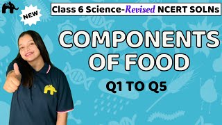 Components of Food Class 6 Science  Revised NCERT Solutions  Chapter 1 Science Questions 15 [upl. by Ondrea]