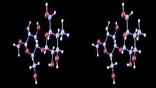 Cellulose  Molecules that Changed the World [upl. by Graham816]