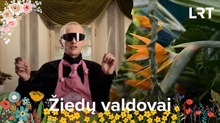 Nuo gimimo iki vestuvių floristų puoštas arkas įkvėpė ypatingos jų gyvenimo šventės [upl. by Ainola]