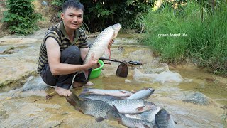 Lots of fish found after flood season Robert  Green forest life [upl. by Willie]