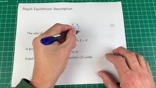 Enzyme Kinetics rapid equilibrium and steadystate assumptions Topic 1 [upl. by Udale450]