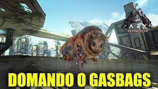 Como Domar e Habilidades Do Gasbags  Ark Extinction PT BR [upl. by Lahey]