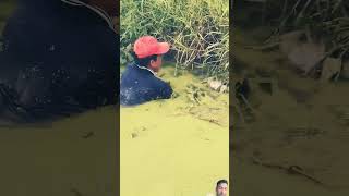 fishing fisherman fish fishermanlife carpfishing fishermanslife fishingtips fishermans [upl. by Enelrihs]