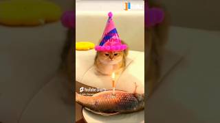 Animal Fundub Part 153 🤣🤣  Malayalam Fundub  ©Ji Talkz  Jijith Elamadu malayalamfundub shorts [upl. by Lamee]