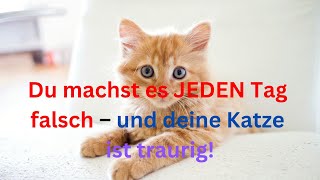 Du machst es JEDEN Tag falsch – und deine Katze ist traurig [upl. by Ettegdirb]