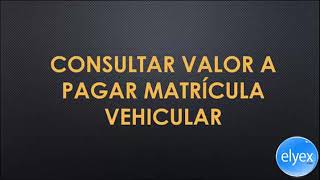 SRI Consultar valor a pagar Matrícula Vehicular Ecuador Propietario [upl. by Godrich]