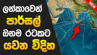 How to Send Parcel Through Sri Lanka Post Office Sinhala [upl. by Niltac]