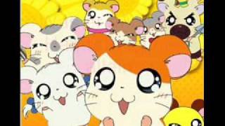 Hamtaro german opening 2 lyrics [upl. by Imer]