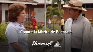 Conoce la fábrica de Buencafé Liofilizado [upl. by Durante]