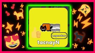 Guide How To Get TacnayN On Roblox Find The Cats By FindGames Academy [upl. by Swigart]