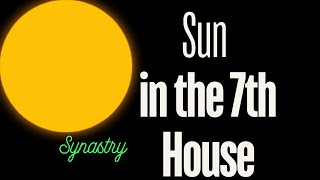 Partner with Sun in the 7th House  Synastry Expert [upl. by Anyer]