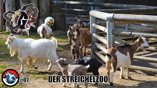 GDL S10  DialgaPlateau Spieltag 7  Der Streichelzoo [upl. by Sheng]