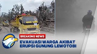 BREAKING NEWS  Evakuasi Warga Akibat Erupsi Gunung Lewotobi Laki Laki [upl. by Wylde866]