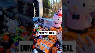 Epic dumpster haul reveal pt 1 This is trash dumpsterdiving shorts disney hellokitty christmas [upl. by Alverson280]