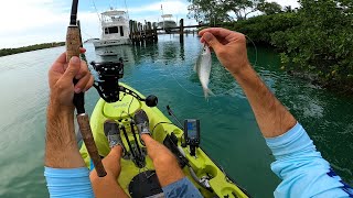 Indian River Exploring and Fishing To Find a BITE [upl. by Peppel839]