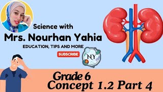 Excretory System Grade 6 Concept 12 Part 4 First term 2024  2025 [upl. by Llahsram]