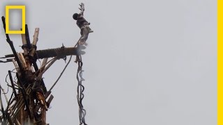 Amazing POV Jump With the Original Bungee Jumpers  National Geographic [upl. by Ten970]