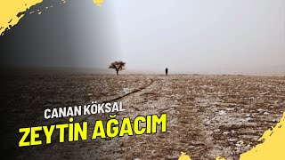 Zeytin Ağacım  Cânân Köksal  Şiir [upl. by Adnaloy]