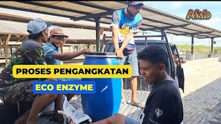 PROSES PENGANGKATAN ECO ENZYME UNTUK DI KIRIM KE KANDANG sapi desinfektan herbal ecoenzyme [upl. by Naimad]