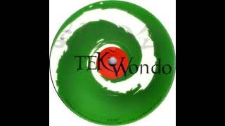 Tek Wondo 02  Electrotek  A1 [upl. by Nylednarb]