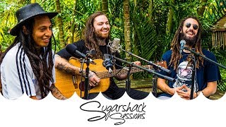 Iya Terra  Give Thanks Live Music  Sugarshack Sessions [upl. by Coridon]