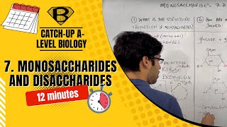 Monosaccharides and disaccharides [upl. by Eniawd]