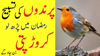 Parindo Ki Tasbeeh Ramzan Main  Crorepati Ban Jao Ge  Daulat Ka Wazifa [upl. by Ahsayn]