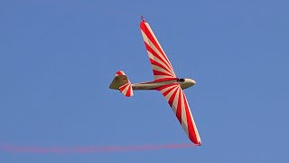 DFS Habicht  vintage glider aerobatic display  Christoph Zahn  Airshow Gelnhausen 2023 [upl. by Yehsa]