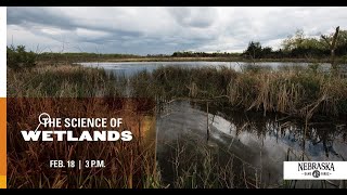 Science ofWetlands [upl. by Sabanrab]