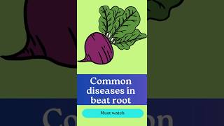 Common diseases in beet root [upl. by Anelliw137]