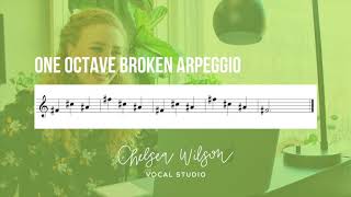 One Octave Broken Arpeggio  Vocal WarmUp in Male Key [upl. by Einhoj892]