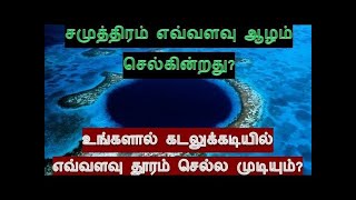 கடல் எவ்வளவு ஆழம் செல்கின்றது எவ்வளவு தூரம் உங்களால் அடியில் செல்ல முடியும் [upl. by Romeon794]