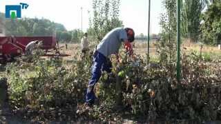 Producción de Compost en la ETSI Agrónomos de Madrid [upl. by Leizahaj]