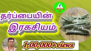 தர்ப்பையின் ரகசியம்  tharpai Ragasiyam in Tamil [upl. by Enaud]