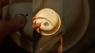 Cool smoke alarm showcase gun [upl. by Naimed]