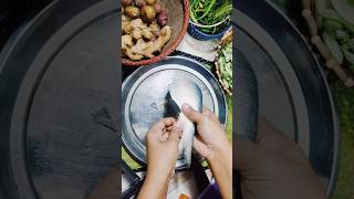 Hilsa fish cutting youtubeshorts cookingideas cuttingskills [upl. by Aliac]