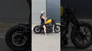 harley davidson with my favorite color harley harleyvideos bikergirlbikelife bikergirl [upl. by Viveca]